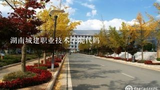 湖南城建职业技术学院代码