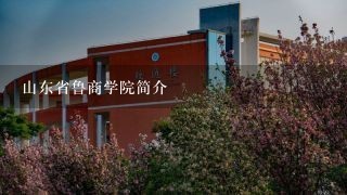 山东省鲁商学院简介