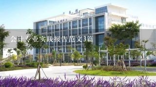 会计专业实践报告范文3篇