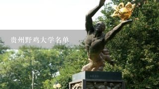 贵州野鸡大学名单