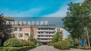 教师职业年金什么意思