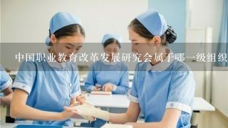 中国职业教育改革发展研究会属于哪一级组织 ？