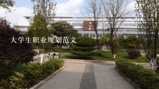 大学生职业规划范文