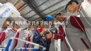 龙岩闽西职业技术学院有几个系？