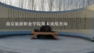 南京旅游职业学院期末成绩查询