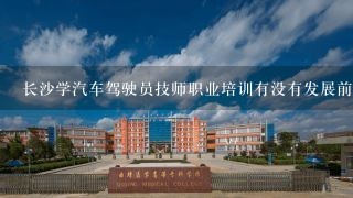 长沙学汽车驾驶员技师职业培训有没有发展前景