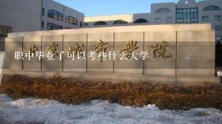 职中毕业了可以考些什么大学