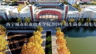 西宁城市职业技术学院2019年招生简章,招生专业