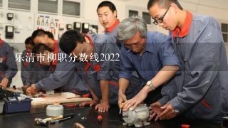 乐清市柳职分数线2022