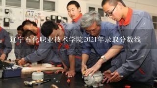 辽宁石化职业技术学院2021年录取分数线