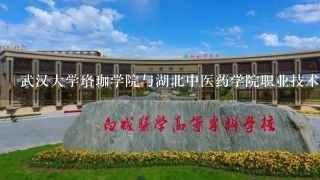 武汉大学珞珈学院与湖北中医药学院职业技术学院想比，那个更好