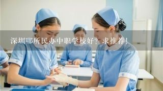 深圳哪所民办中职学校好？求推荐!