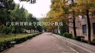 广东科贸职业学院2022分数线