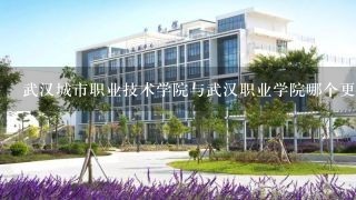 武汉城市职业技术学院与武汉职业学院哪个更好