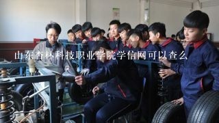 山东杏林科技职业学院学信网可以查么