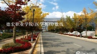 德宏职业学院(医学类)分数线