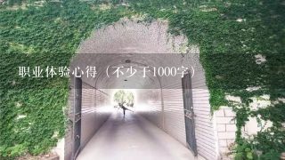 职业体验心得（不少于1000字）