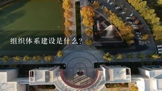 组织体系建设是什么？