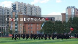 安徽公安职业学院怎么样