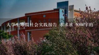 大学生寒假社会实践报告 求求求 3000字的