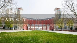 天津职业大学