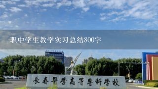 职中学生教学实习总结800字