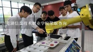 芜湖信息技术职业学院录取查询