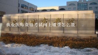 执业医师资格考试网上缴费怎么缴