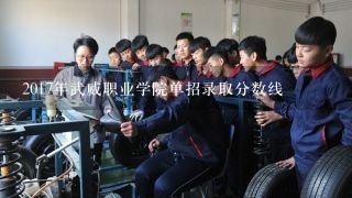 2017年武威职业学院单招录取分数线