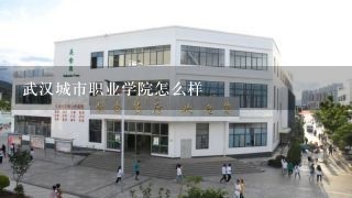 武汉城市职业学院怎么样