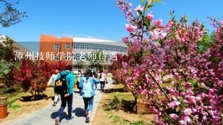 漳州技师学院老师待遇