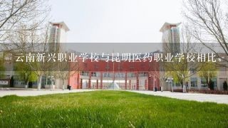 云南新兴职业学校与昆明医药职业学校相比，哪个更好