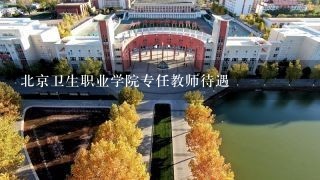 北京卫生职业学院专任教师待遇