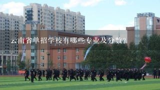 云南省单招学校有哪些专业及分数？