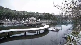 2022年190分数线大学