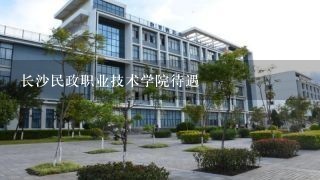 长沙民政职业技术学院待遇