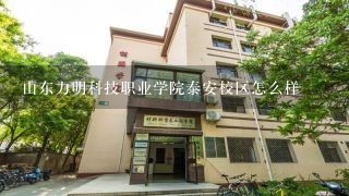 山东力明科技职业学院泰安校区怎么样