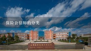 保险公估师的分类