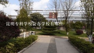 昆明专科学校公办学校有哪些