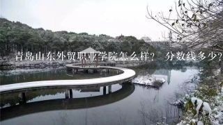 青岛山东外贸职业学院怎么样？ 分数线多少？ 招黑龙江的吗？ 什么专业做好？