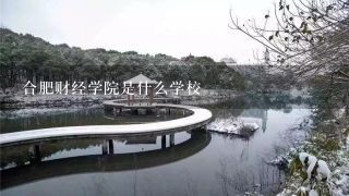 合肥财经学院是什么学校