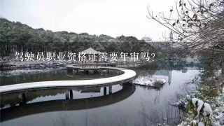 驾驶员职业资格证需要年审吗？