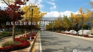 山东信息职业技术学院