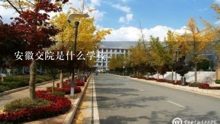 安徽交院是什么学校