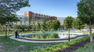 220分能上什么大学