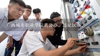 广西城市职业学院是公办，还是民办。