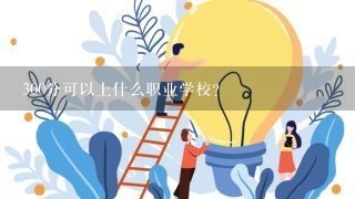 300分可以上什么职业学校？