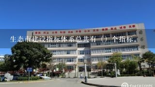 生态市建设指标体系总共有（）个指标。