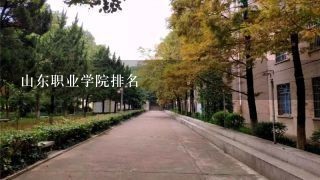 山东职业学院排名