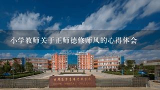 小学教师关于正师德修师风的心得体会